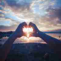 cdn软​件‌下﻿载‍